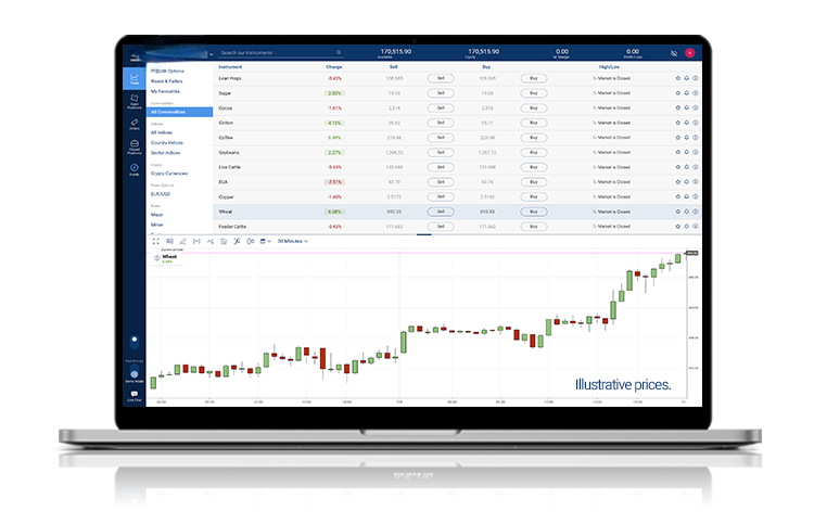 Example of WebTrader's Computer Interface for Popular Commodities